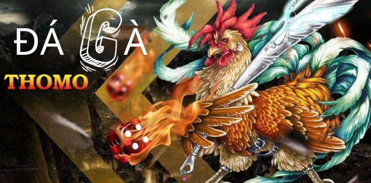Một loạt các hoạt động quảng bá cấp độ Z8bet vô cùng hấp dẫn - Z8bet