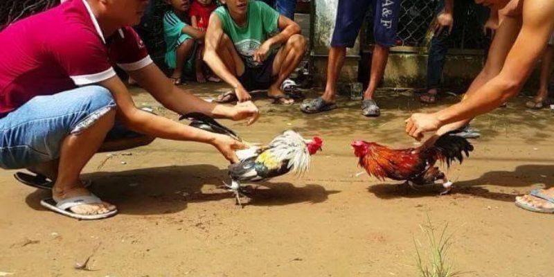 Hướng dẫn cách tải ứng dụng trò chơi Fun789 về điện thoại của bạn - Fun789