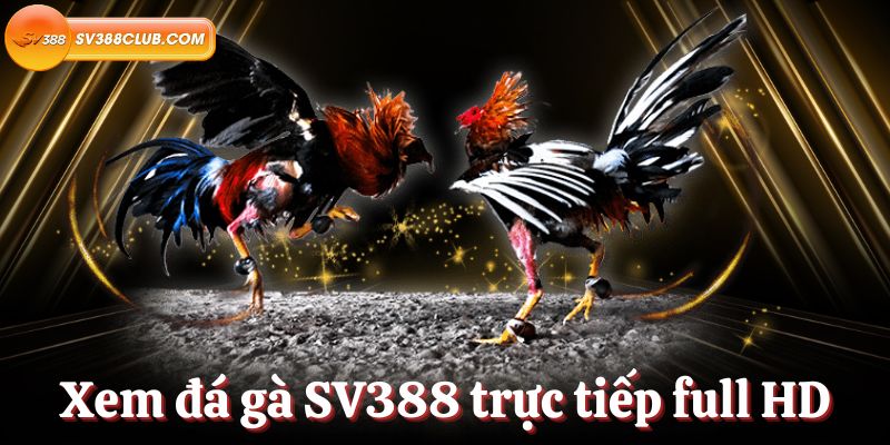Hướng dẫn tạo tài khoản Five88 mới - Five88