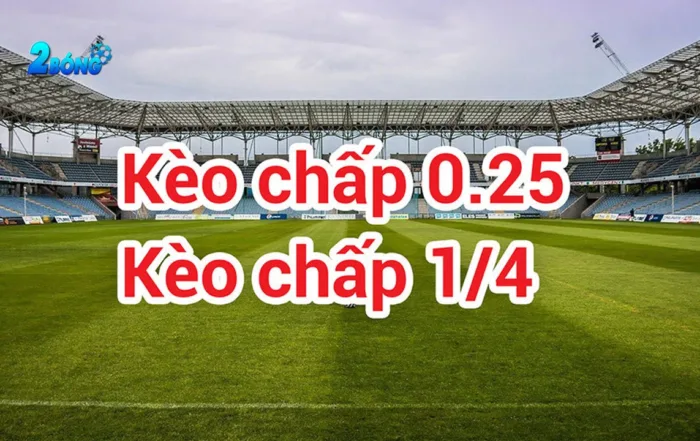 Các trò chơi được cung cấp bởi Qqvn VIP - Qqvn