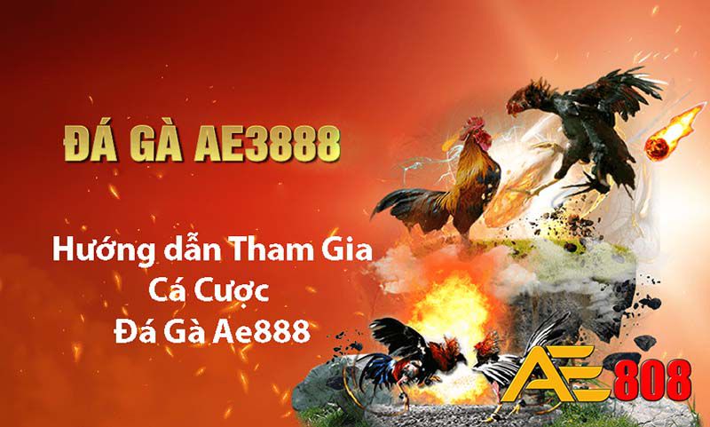 Banca30 tập hợp tất cả các khu cắm trại nổi tiếng và được yêu thích - Banca30