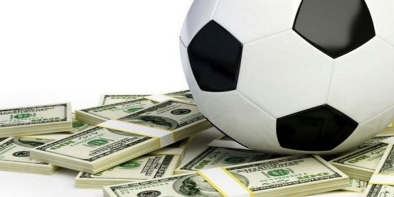 Ý kiến của các chuyên gia 98Win - 98Win
