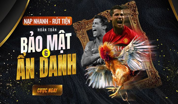 Giới thiệu ngắn gọn về công ty game 789P lâu đời - 789P