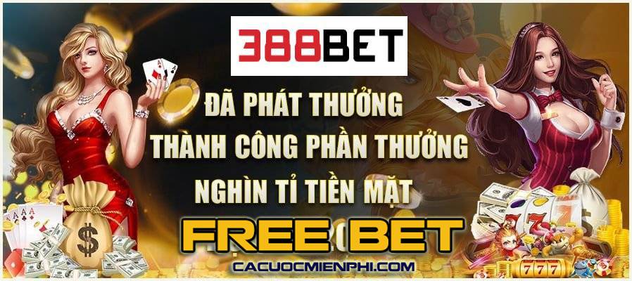 Giá trị cốt lõi của Cmd368 - Cmd368