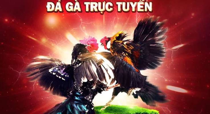 13Win giúp bạn trải nghiệm các hoạt động khuyến mãi vô cùng hấp dẫn - 13Win